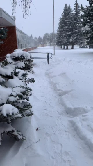 We’re not out of the cold yet! Edmonton winters have temperatures that drop to extremes, which affects instrument health. Instruments are very fragile, and quite sensitive to climate. It is important to keep this in mind when going between school and lessons during the winter with an instrument, that we take necessary precautions to avoid damages and a possible visit to the repair shop! 

stay warm out there everyone!!

NO INSTRUMENTS WERE HARMED IN THE MAKING OF THIS REEL
